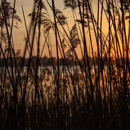 Dom wakacyjny Kleine Freiheit Am Badesee *